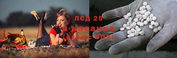 СК Бородино