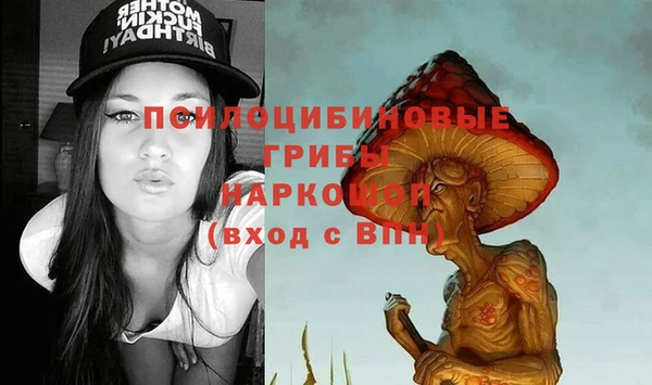 соль ск Бугульма